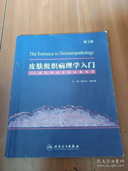皮膚科臨床基礎(chǔ)知識