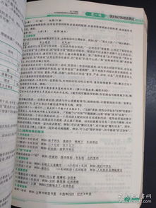 江蘇語文基礎(chǔ)知識(shí)手冊(cè)