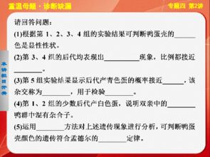 關(guān)于專題性總結(jié)的基礎(chǔ)知識