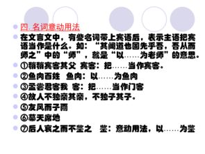 語(yǔ)文基礎(chǔ)知識(shí)詞類教案