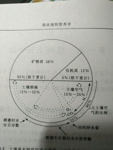 植物營(yíng)養(yǎng)學(xué)基礎(chǔ)知識(shí)