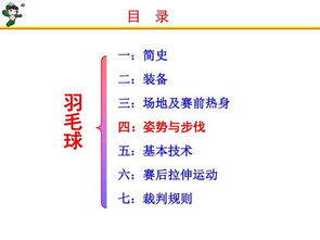 羽毛球基礎(chǔ)知識(shí)感想