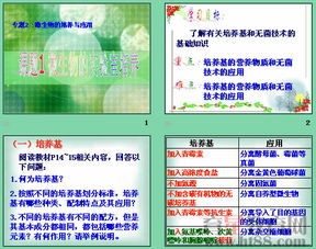 無菌技術(shù)的相關(guān)知識,無菌技術(shù)相關(guān)知識試題,無菌技術(shù)相關(guān)知識ppt