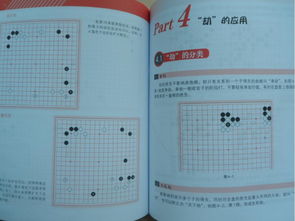 基金入門基礎(chǔ)知識(shí)書籍,圍棋入門基礎(chǔ)知識(shí)介紹,圍棋入門布局基礎(chǔ)知識(shí)