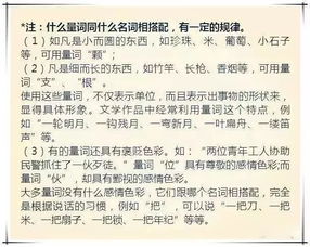 小學(xué)語(yǔ)文基礎(chǔ)知識(shí)大全,小學(xué)語(yǔ)文基礎(chǔ)知識(shí)歸納,小學(xué)語(yǔ)文語(yǔ)法基礎(chǔ)知識(shí)