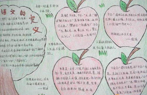 高中語文基礎知識手抄報