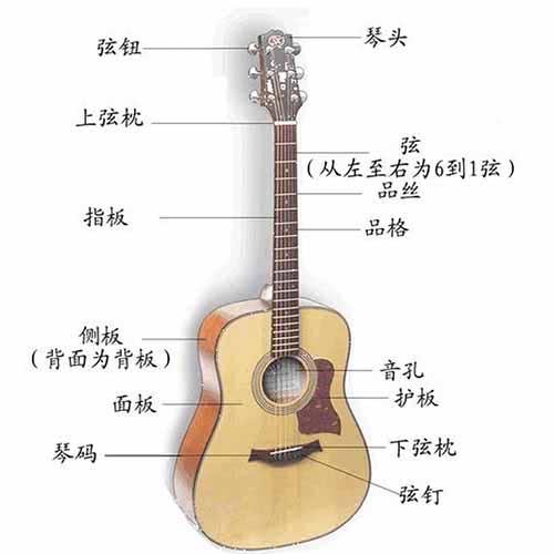 認識吉他入門零基礎(chǔ)知識