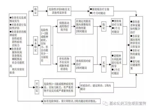 嚴(yán)重精神障礙基礎(chǔ)知識(shí)