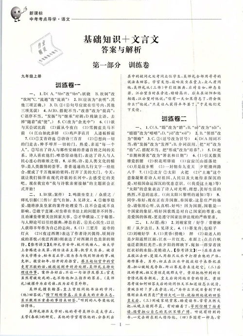 基礎(chǔ)知識(shí),高考語文
