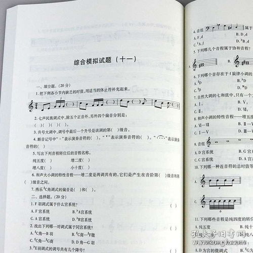 樂(lè)理基礎(chǔ)知識(shí)藝考題
