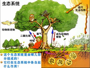 醫(yī)療公共衛(wèi)生基礎(chǔ)知識(shí),公共衛(wèi)生基礎(chǔ)知識(shí)題庫(kù),公共衛(wèi)生基礎(chǔ)知識(shí)考試題庫(kù)