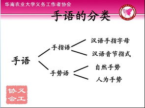 漢語(yǔ)的基礎(chǔ)知識(shí),漢語(yǔ)基礎(chǔ)知識(shí)考試試題,小學(xué)漢語(yǔ)基礎(chǔ)知識(shí)
