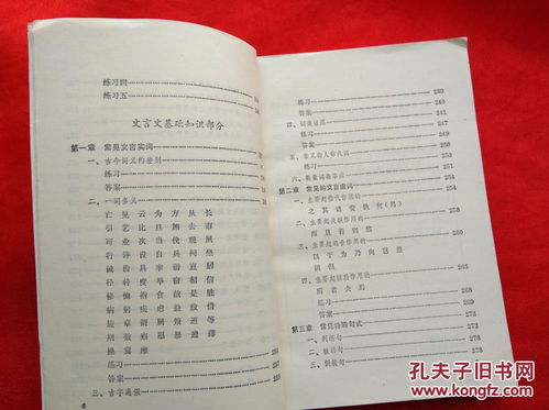初中語文基礎(chǔ)知識練習(xí)集錦