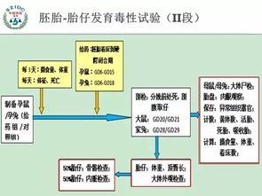 醫(yī)療器械生物基礎(chǔ)知識