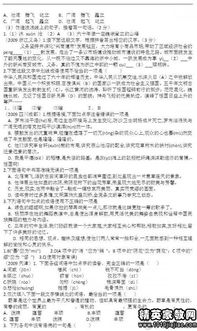 語文基礎(chǔ)知識復習方法