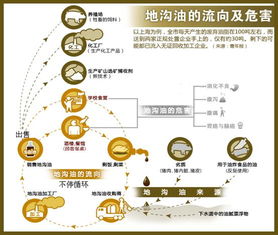 危害因素的基礎(chǔ)知識(shí)