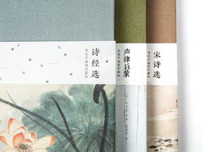 2018最美長安詩詞基礎(chǔ)知識(shí)