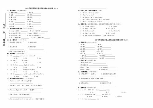 五級英語基礎(chǔ)知識試題