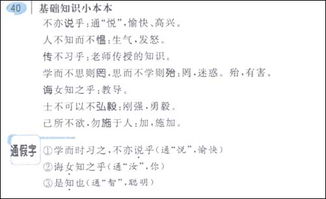 人教版,基礎(chǔ)知識(shí),匯總,語(yǔ)文