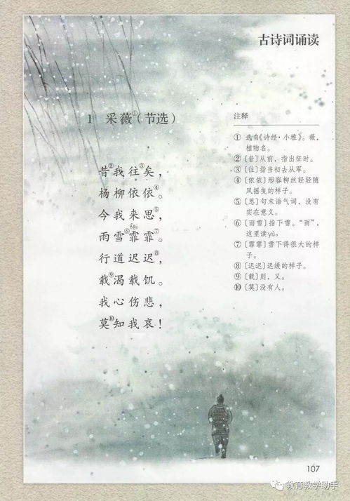 古詩(shī)詞基礎(chǔ)知識(shí)要點(diǎn)