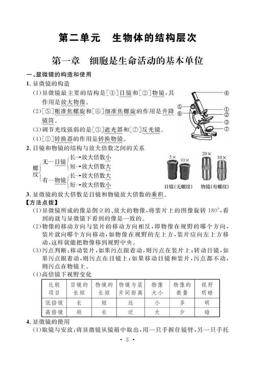 知識點(diǎn),初中,生物,基礎(chǔ)