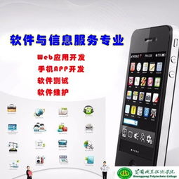 軟件與信息服務(wù)專業(yè)基礎(chǔ)知識